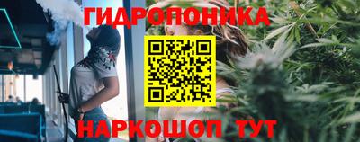 гидра Донецк