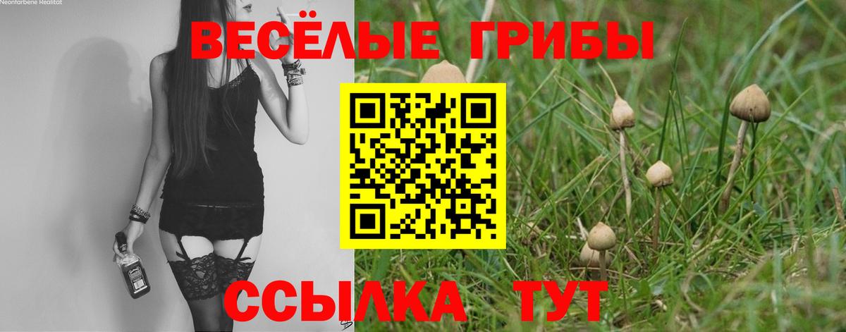 Галлюциногенные грибы ЛСД  Галлюциногенные грибы Cubensis  Вход с VPN  Кулебаки 